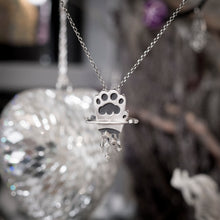 Pawniverse - Silver paw with cubic asteroids